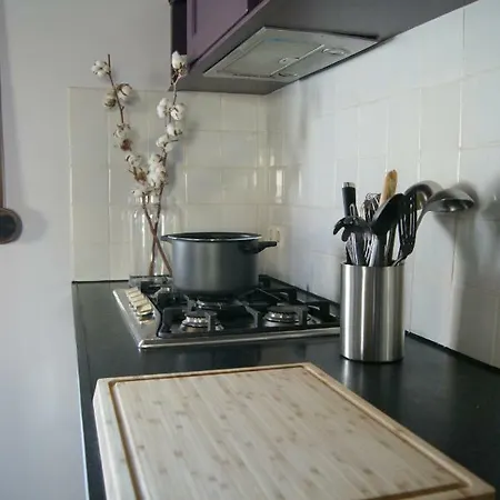 Het Sibberhuuske Apartment